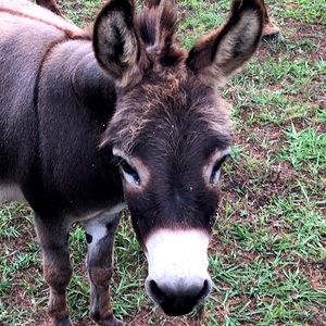 Meet your Posher, Valerie